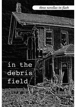 In the Debris Field : Three Novellas-In-Flash